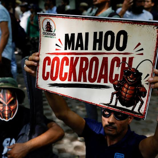 Mai Hoo Cockroach protest sign
